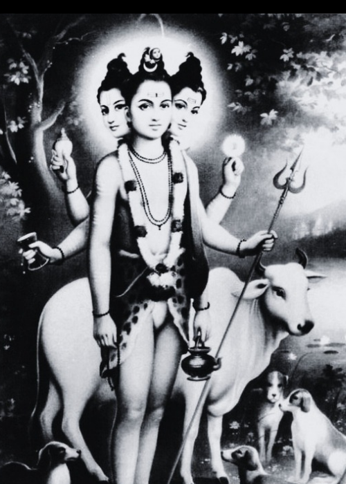Tripura-rahasya-2.0