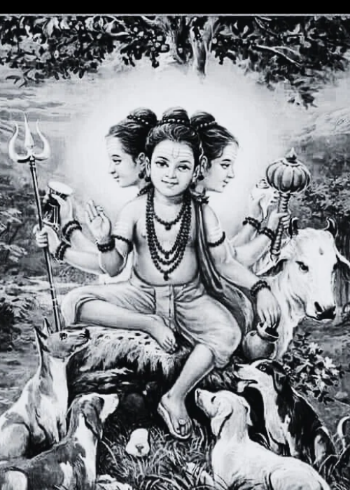 Tripura rahasya 2026